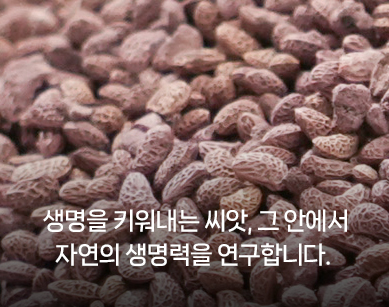 자연의 생명력