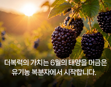 프리미엄 원료