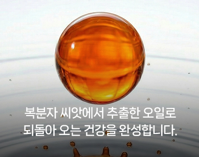 오일 추출